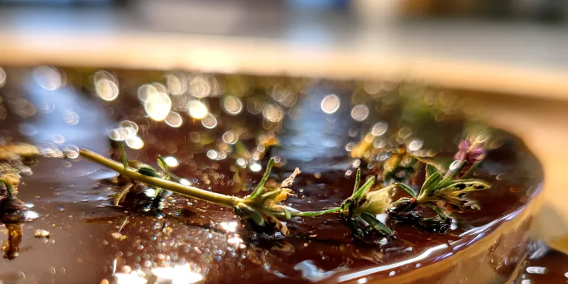 Midnight Cocoa Mousse